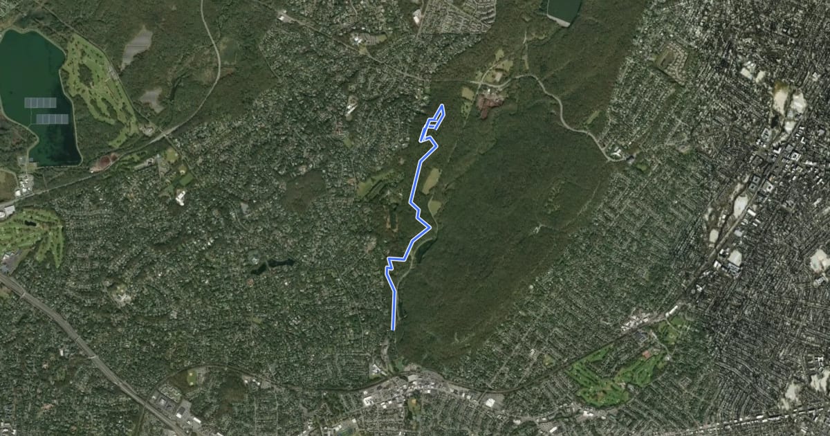 Маршрут Elmdale Trail на спутниковом снимке