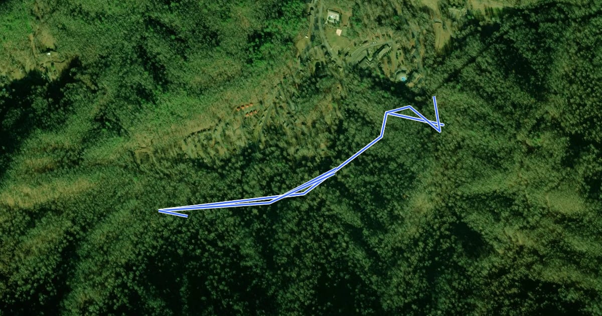 Маршрут Elmer Hollow Trail на спутниковом снимке