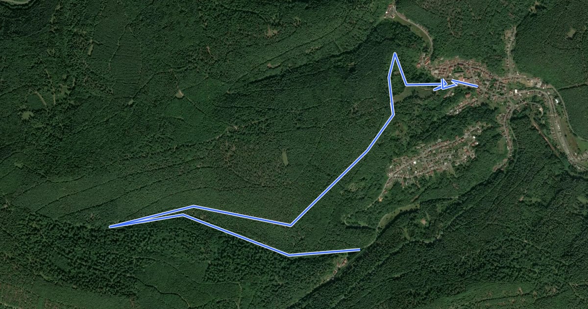 Маршрут Elmstein Rundwanderweg 1 на спутниковом снимке