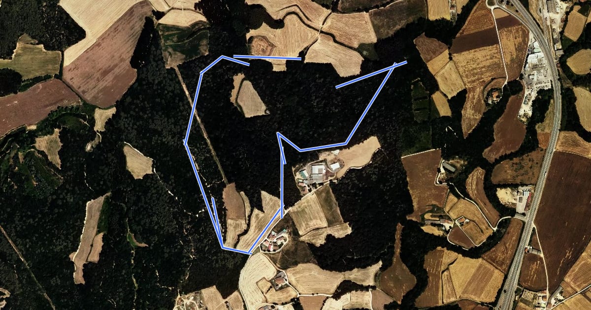 Маршрут Els amics del bosc на спутниковом снимке