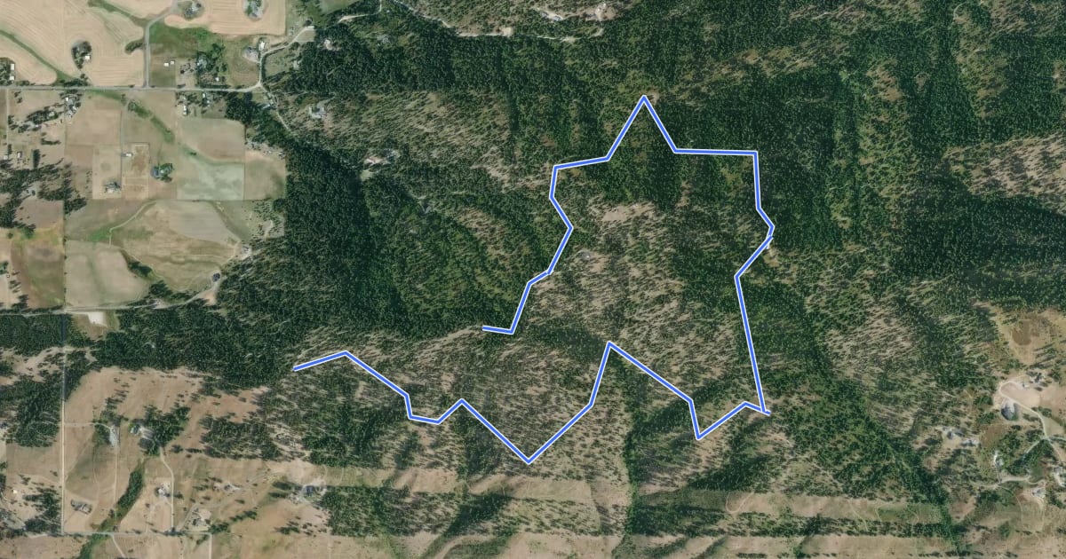 Маршрут Emerald Necklace Trail на спутниковом снимке