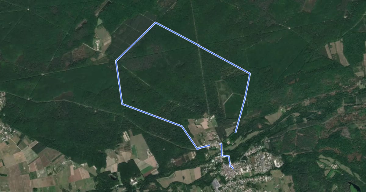 Маршрут En forêt domaniale на спутниковом снимке
