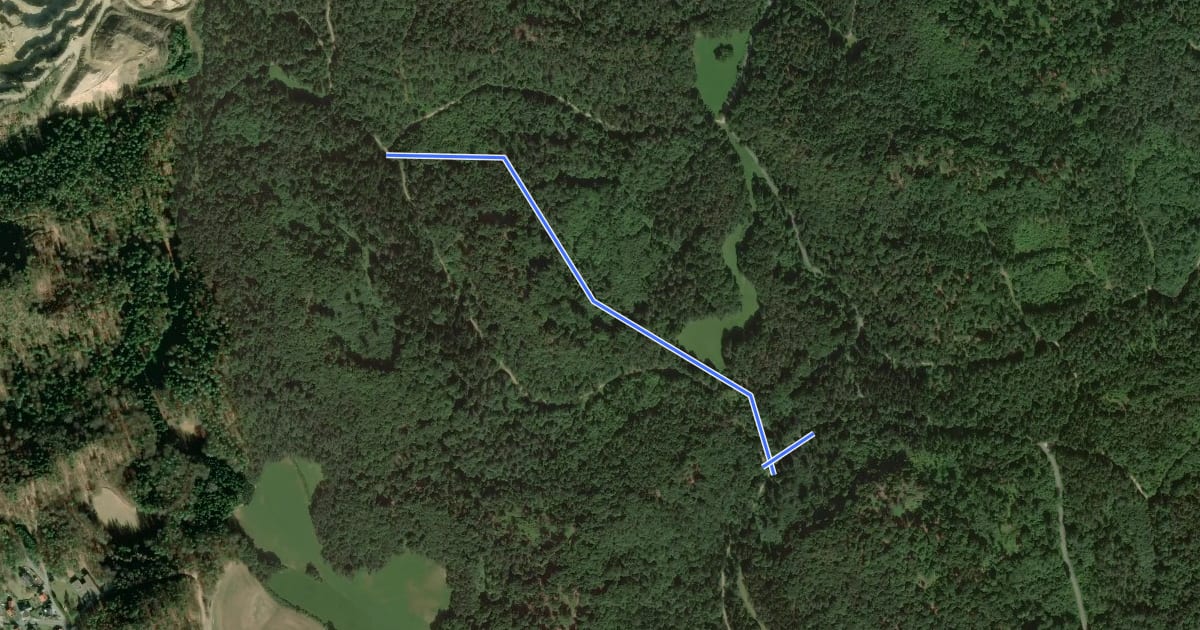Маршрут Engenthaler Kreuz (im Hartensteiner Staatsforst) – Alb-Quer-Weg на спутниковом снимке