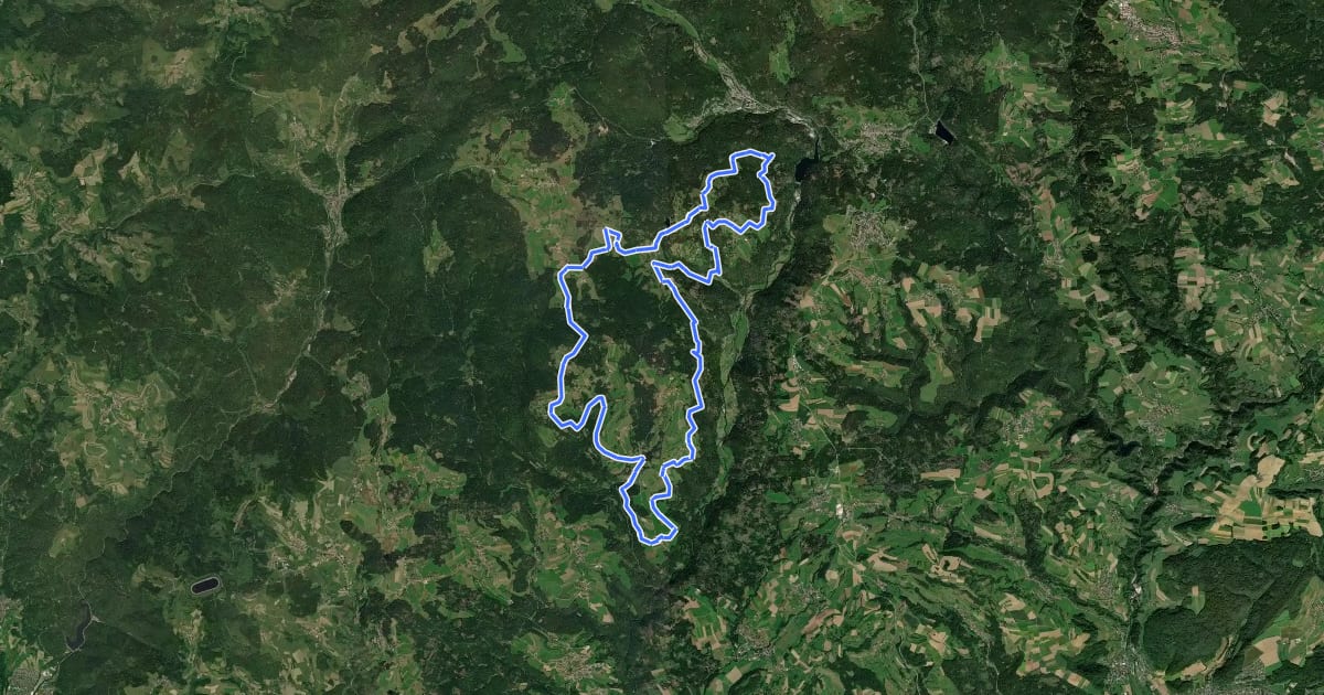 Маршрут enjoy&bike Dachsberg на спутниковом снимке