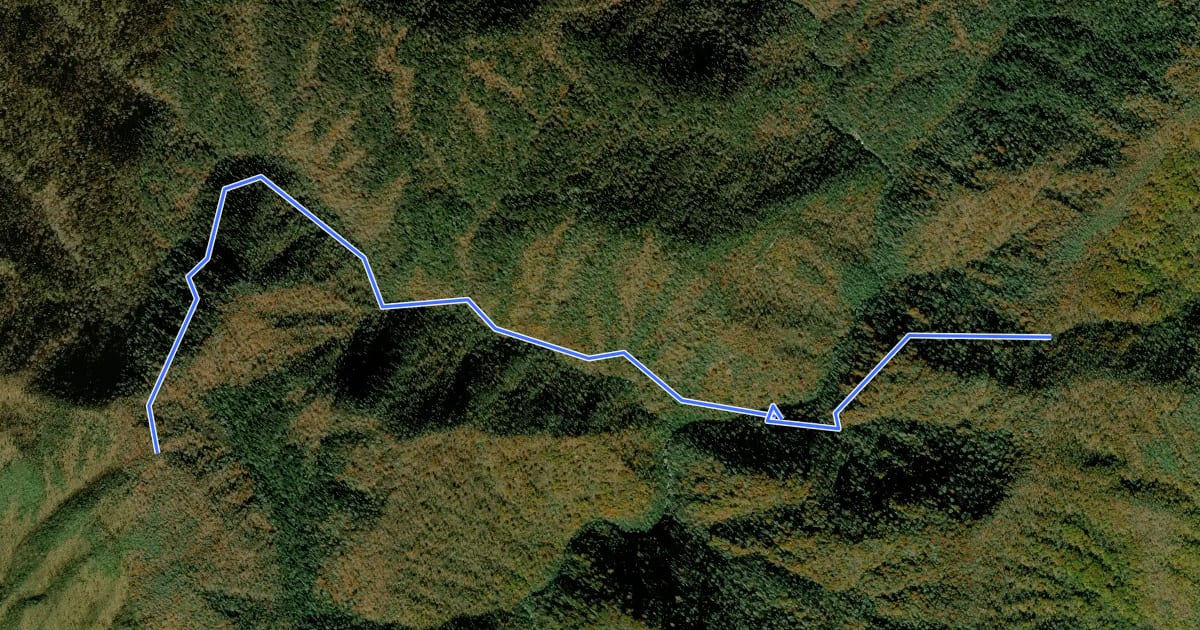 Маршрут Enloe Creek Trail на спутниковом снимке
