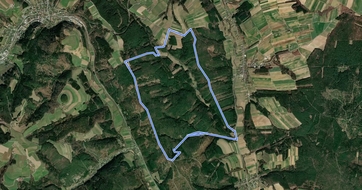 Маршрут Entenstein - Tafeleiche - Streitwiese - Fernblick Karl Rundwanderweg на спутниковом снимке
