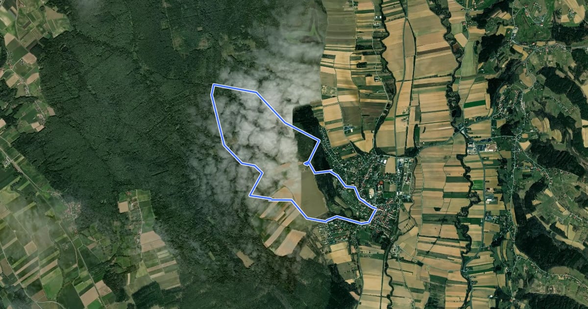 Маршрут Entenwaldweg на спутниковом снимке
