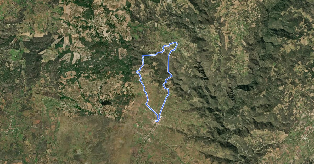 Маршрут Entre as ribeiras da Veiga e de Vilalva, à descoberta dos olivais на спутниковом снимке