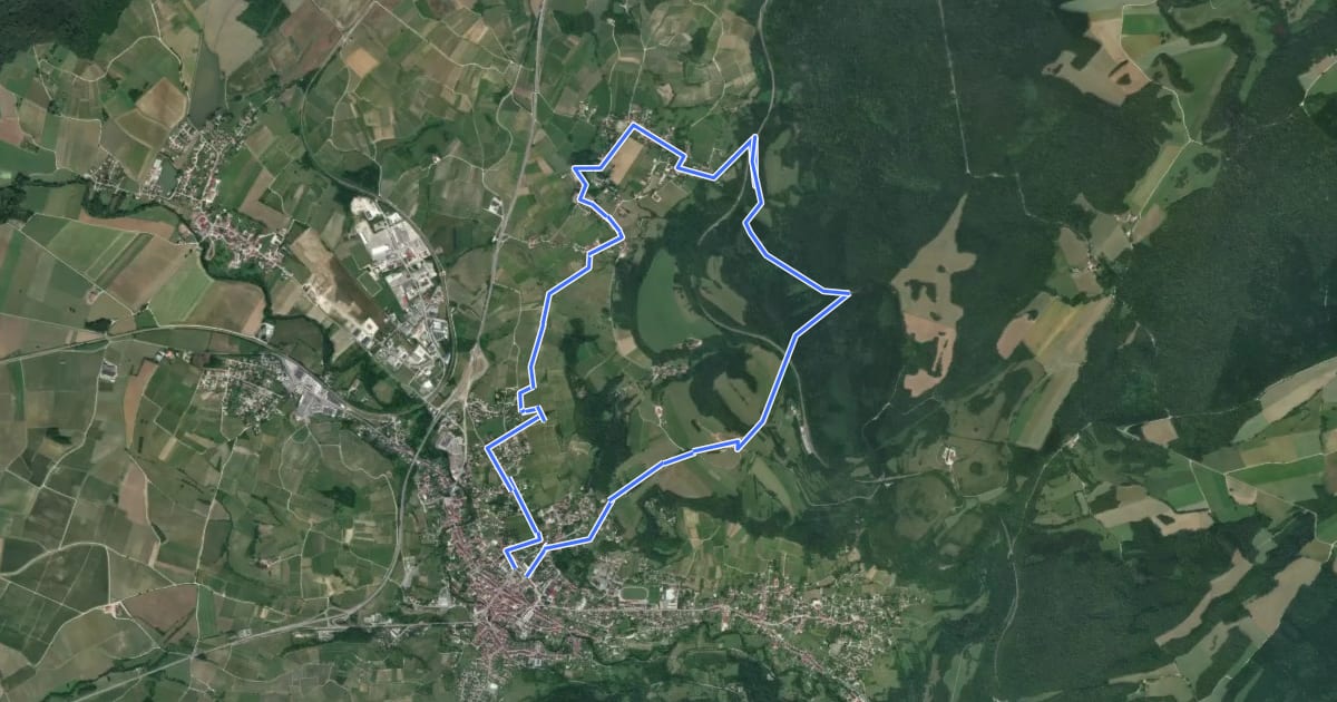 Маршрут Entre Bois et Vignes на спутниковом снимке