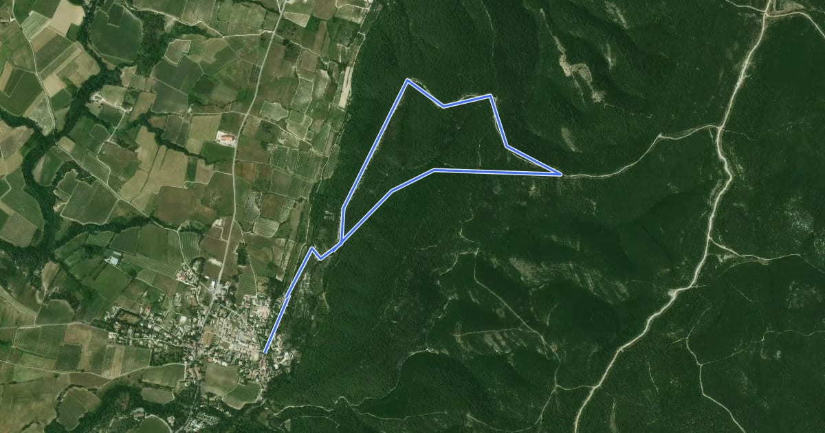 Маршрут Entre rivière et bois на спутниковом снимке