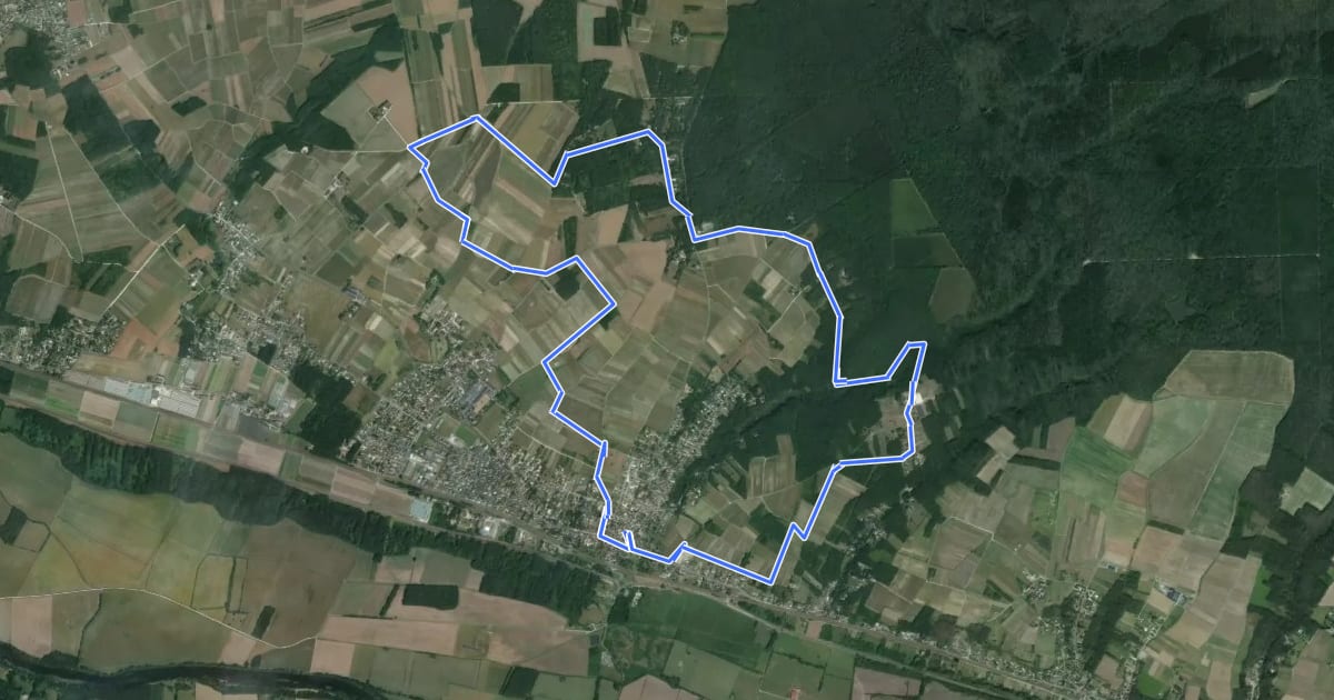 Маршрут Entre Vignes et Forêts - Saint-Martin-le-Beau на спутниковом снимке