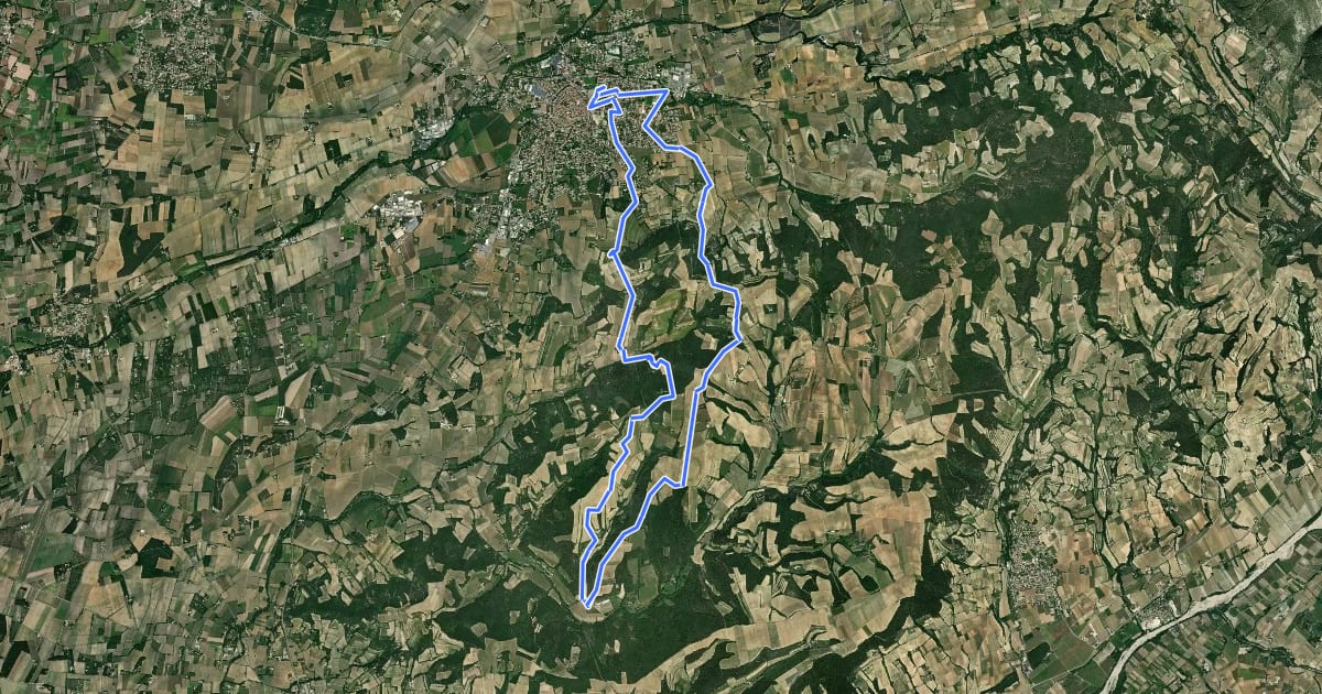 Маршрут Entre Vignes et Panoramas на спутниковом снимке