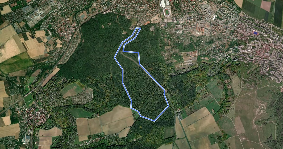 Маршрут Erfurter Steigerwald: Rundwanderweg 5,5 km на спутниковом снимке