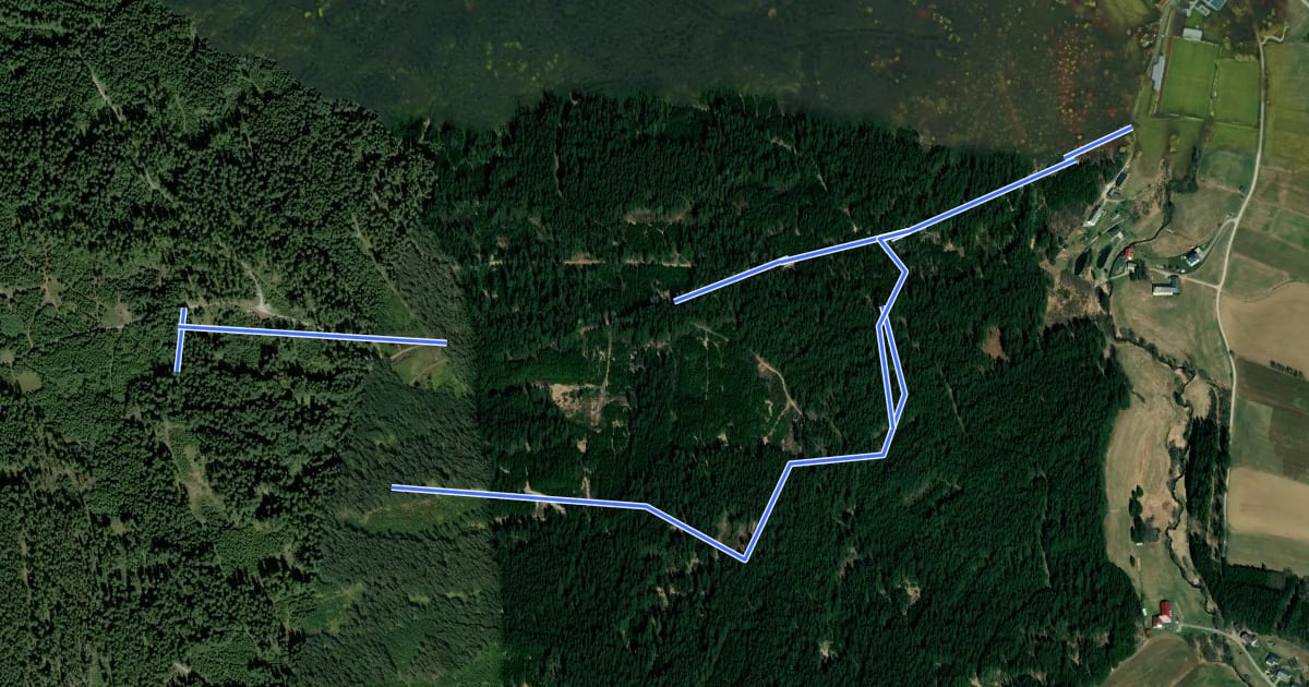 Маршрут Erlebnisweg Moorwald на спутниковом снимке