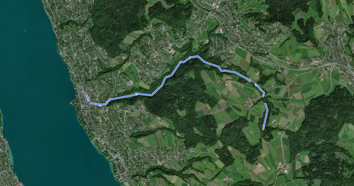 Маршрут Erlenbach Küsnacht Tobelweg на спутниковом снимке