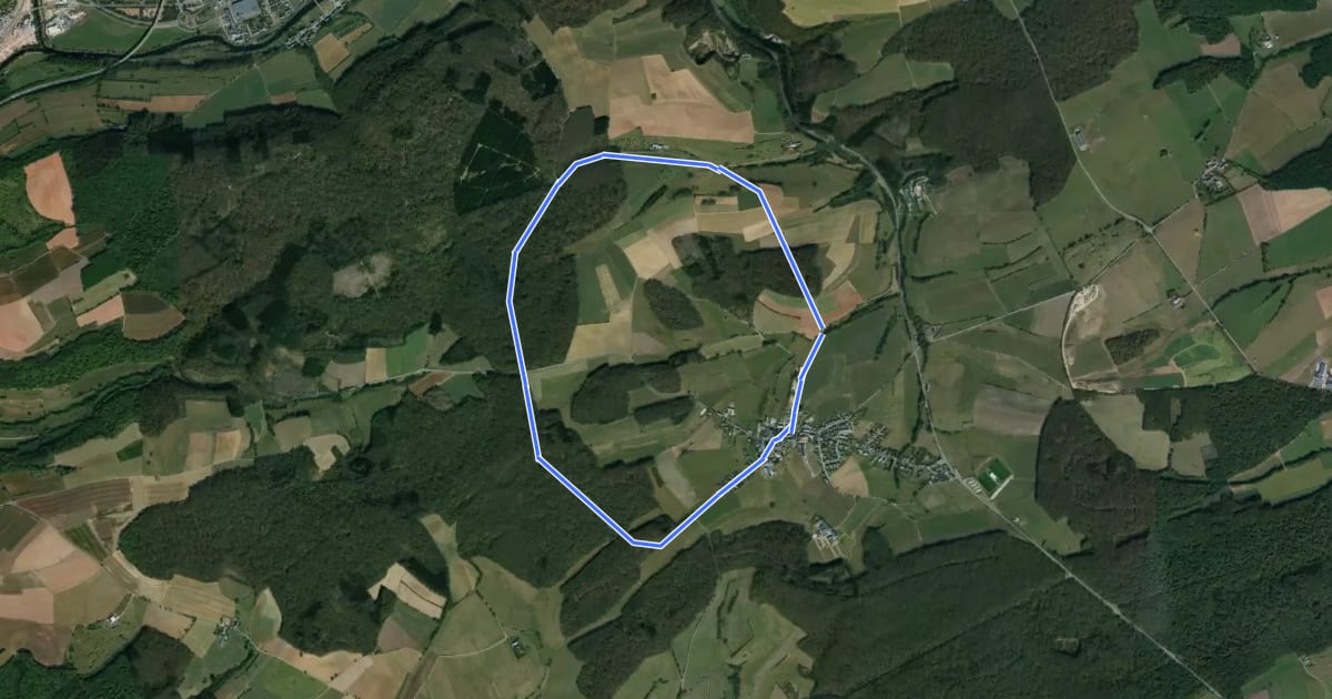 Маршрут Ermsdorf 8 на спутниковом снимке