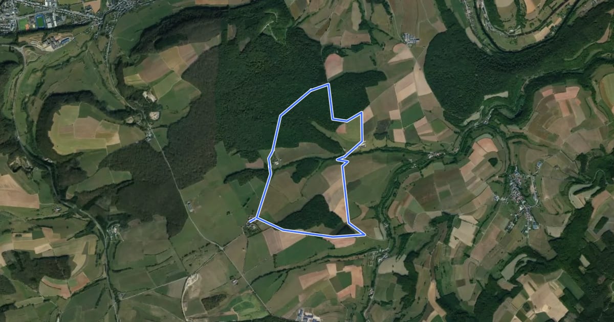 Маршрут Ermsdorf 9 на спутниковом снимке