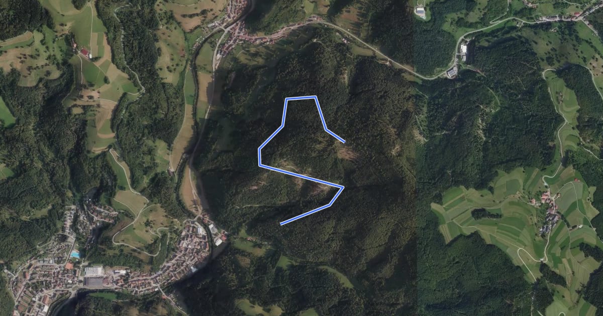 Маршрут Erzenwald - Wegscheidekopf на спутниковом снимке