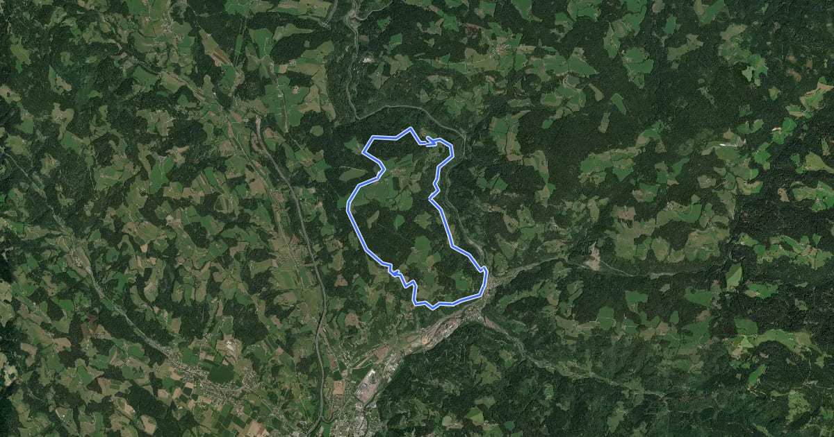 Маршрут Erzwanderweg 1 на спутниковом снимке