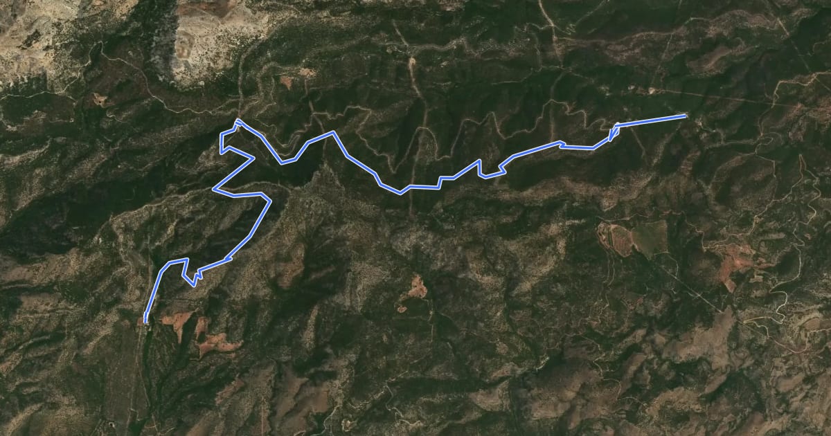 Маршрут Esputrek. Tramo 4 Las Alquerías - Centro de Visitantes Ricardo Codorníu на спутниковом снимке