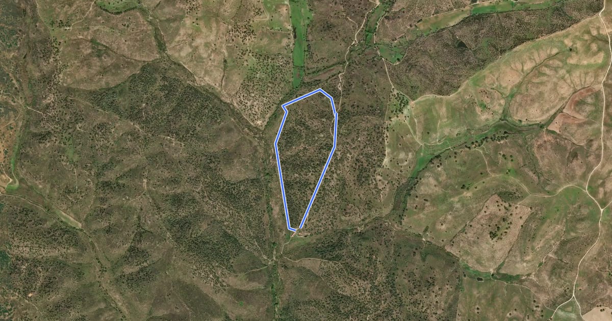 Маршрут Estação da Biodiversidade de Monte Barata на спутниковом снимке