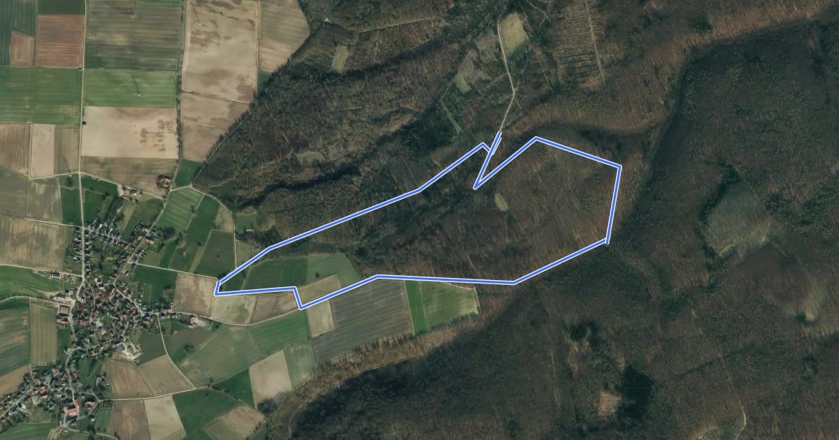 Маршрут ET13 Rundwanderweg von Lüntorf durch den Wald um den Kurzen Buchbrink herum на спутниковом снимке