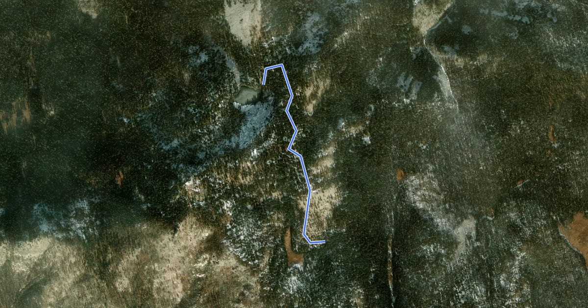 Маршрут Evelyn Lake Trail на спутниковом снимке