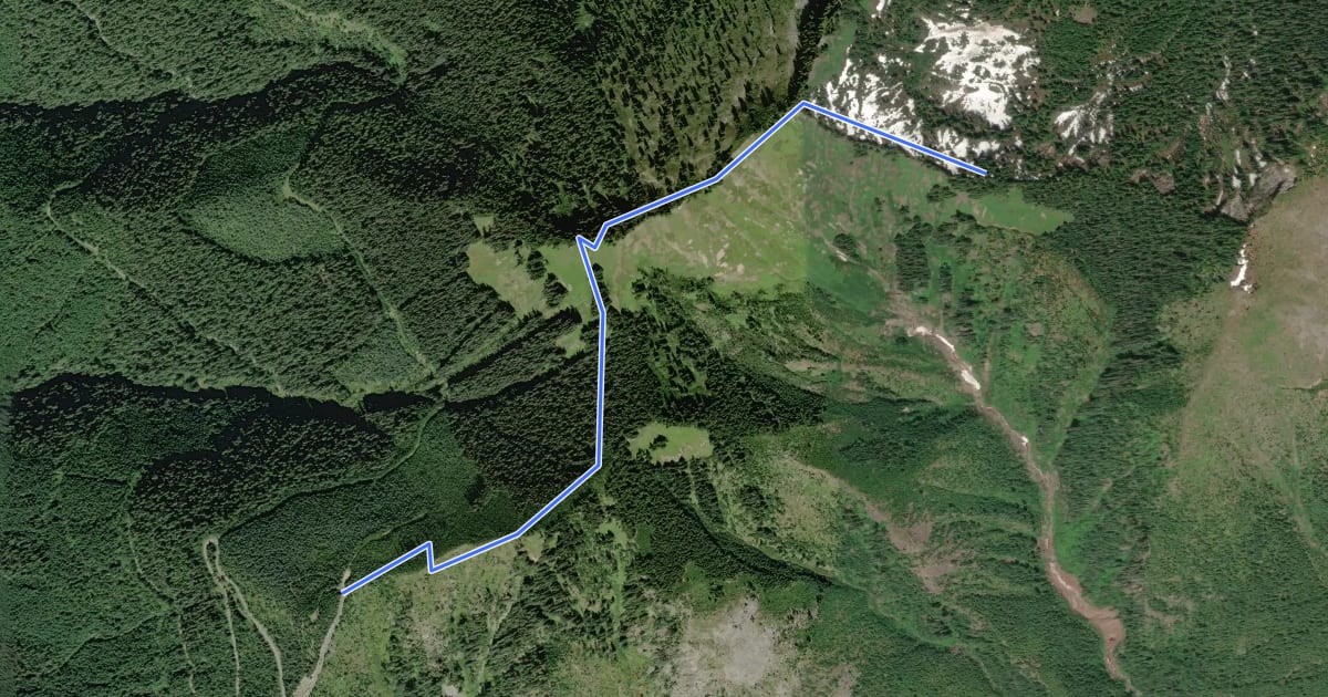 Маршрут Evergreen Lookout Trail на спутниковом снимке