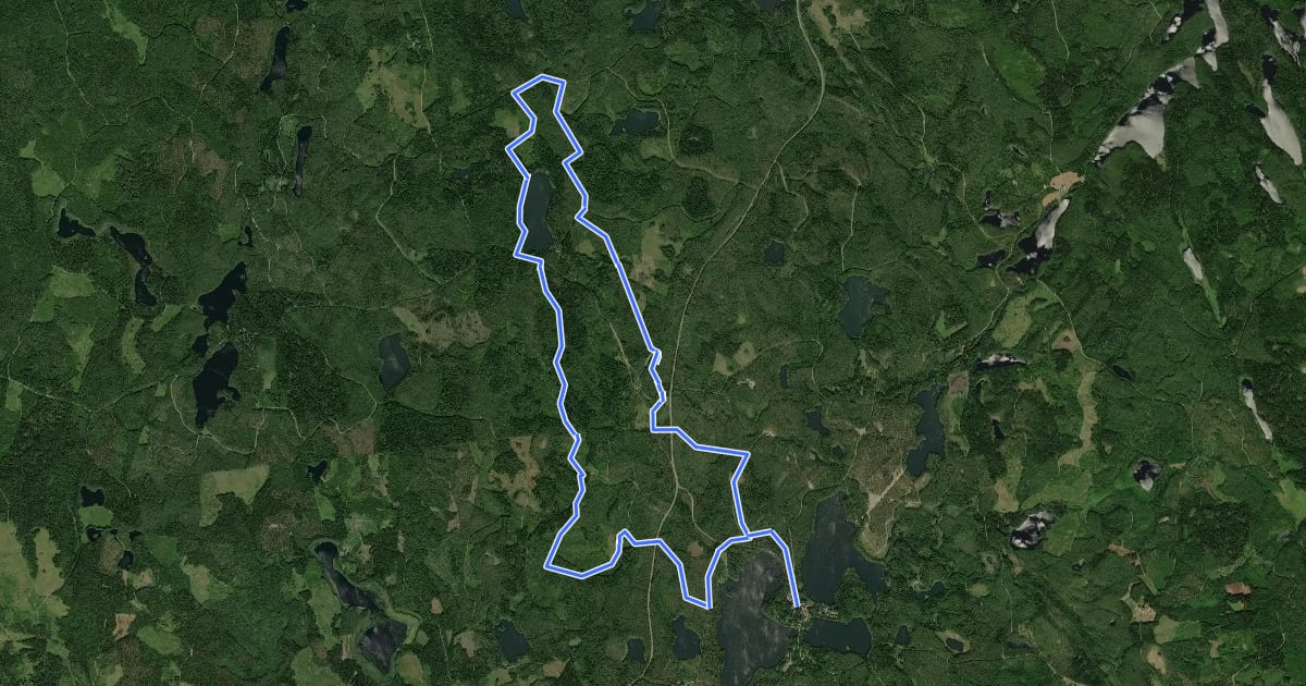 Маршрут EVO mtb 17km на спутниковом снимке