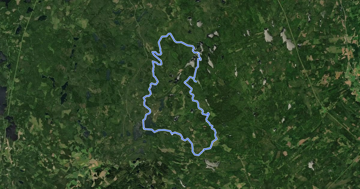 Маршрут EVO mtb 67km на спутниковом снимке