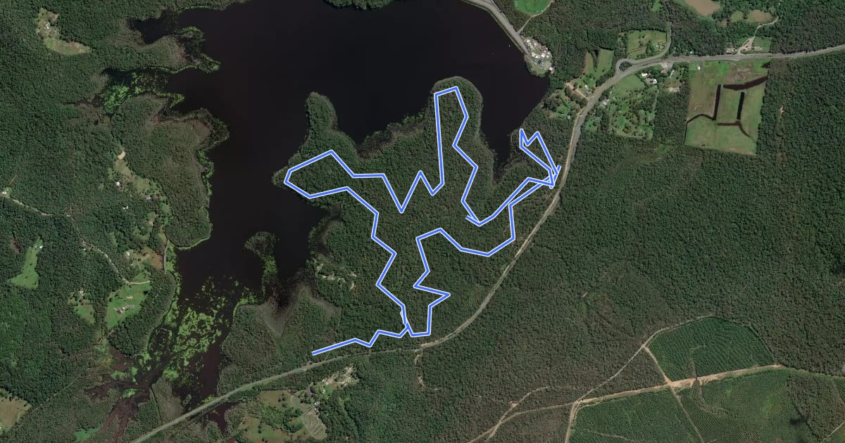 Маршрут Ewen Maddock mountain bike trail на спутниковом снимке