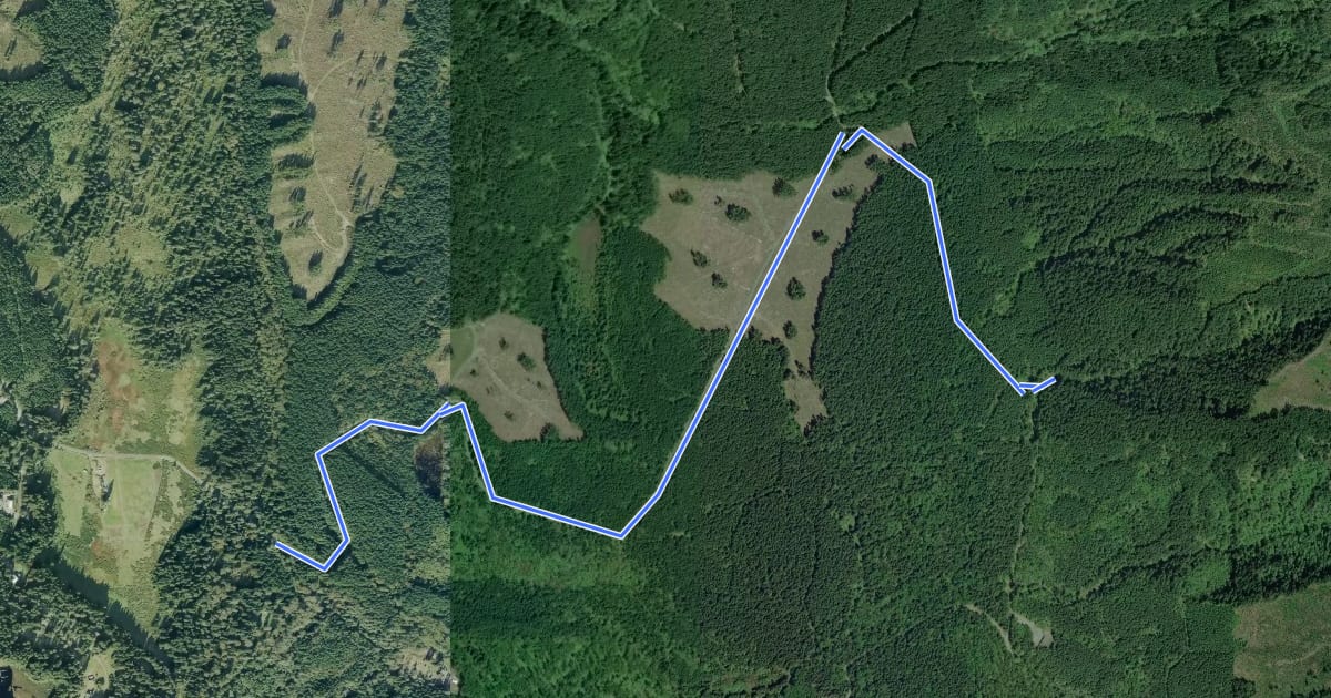 Маршрут Explorer Falls Trail на спутниковом снимке