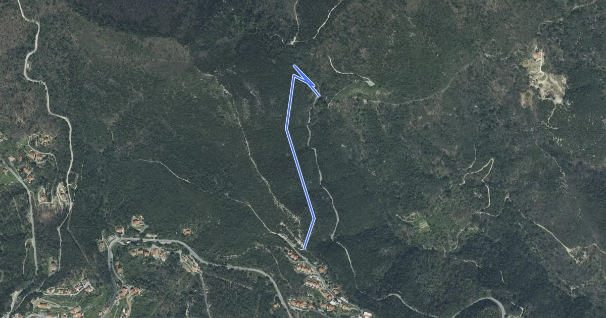 Маршрут Express Bridge на спутниковом снимке