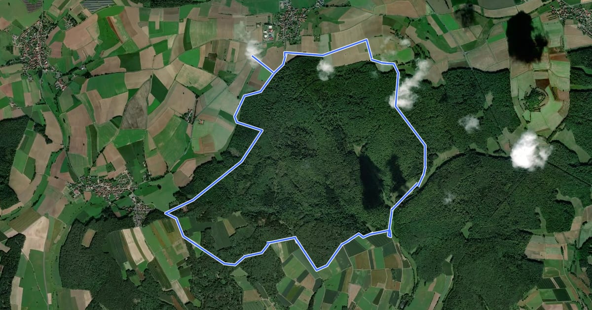 Маршрут Extratour Wald-Brand на спутниковом снимке