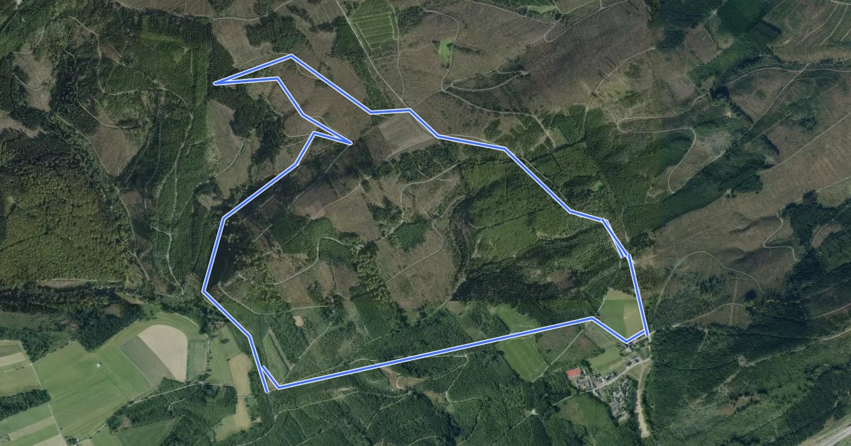 Маршрут Föckinghausen Rundweg A3 на спутниковом снимке