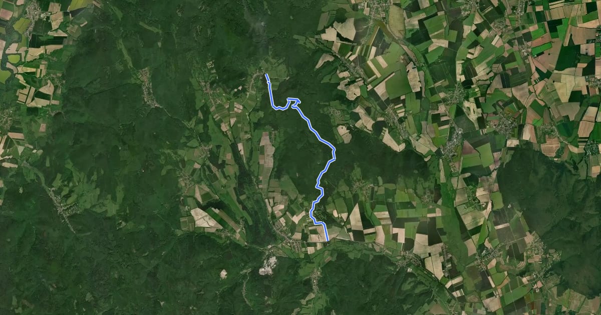 Маршрут Füzérradvány-Pusztafalu MTB на спутниковом снимке