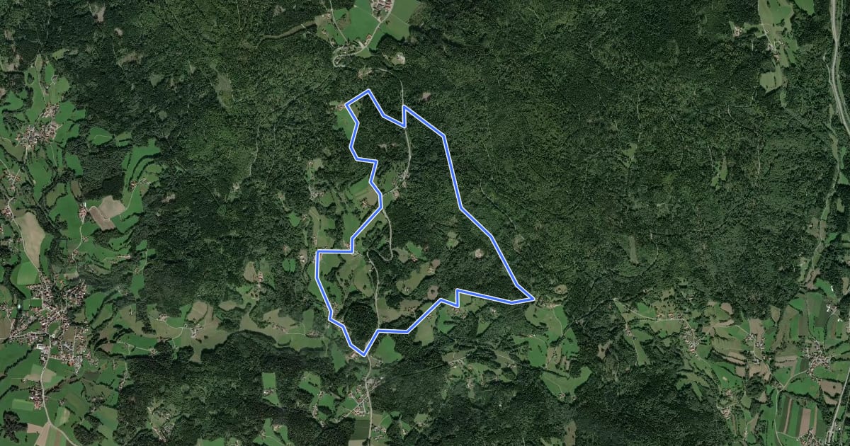Маршрут Faßlehenweg на спутниковом снимке