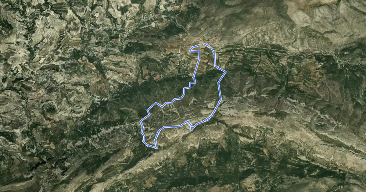 Маршрут Fageca – Pla de la Casa - Fageca на спутниковом снимке