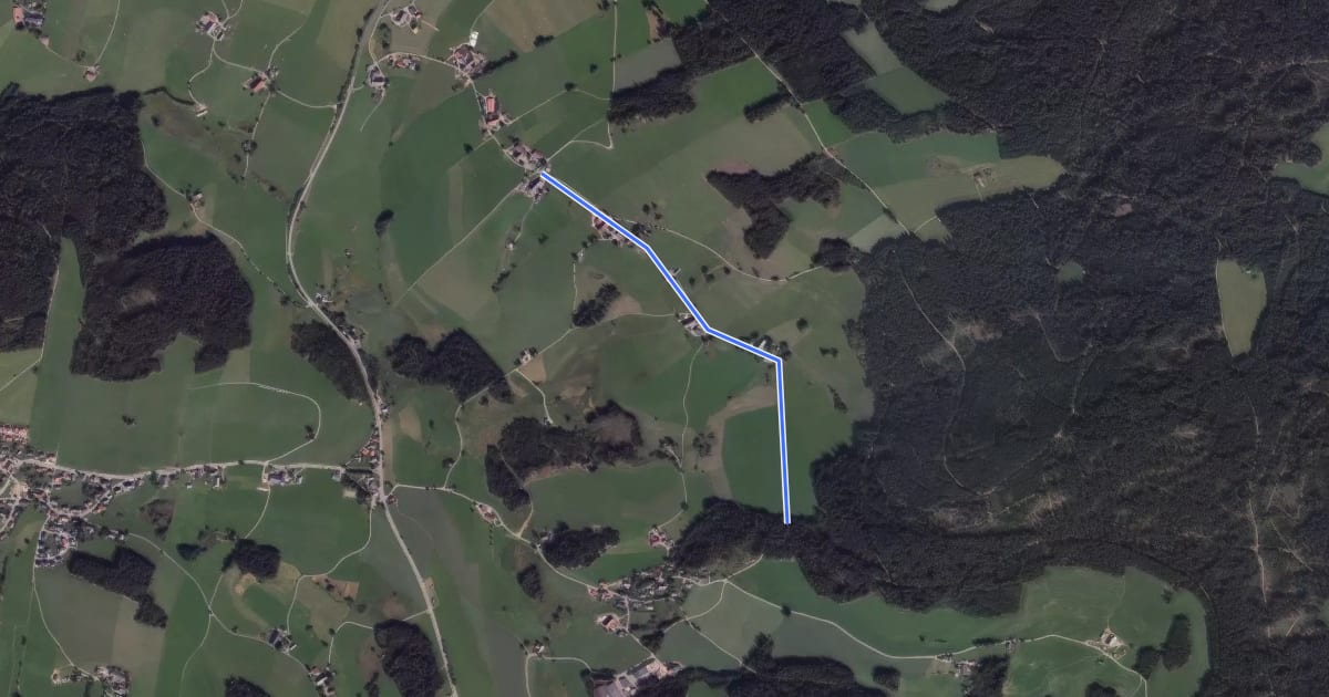 Маршрут Fahrenberg Mathislehof - Hoheckweg на спутниковом снимке