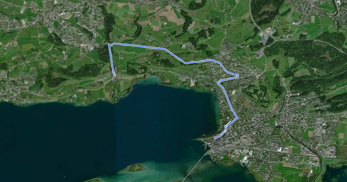 Маршрут Fahrradroute Rapperswil - Feldbach на спутниковом снимке