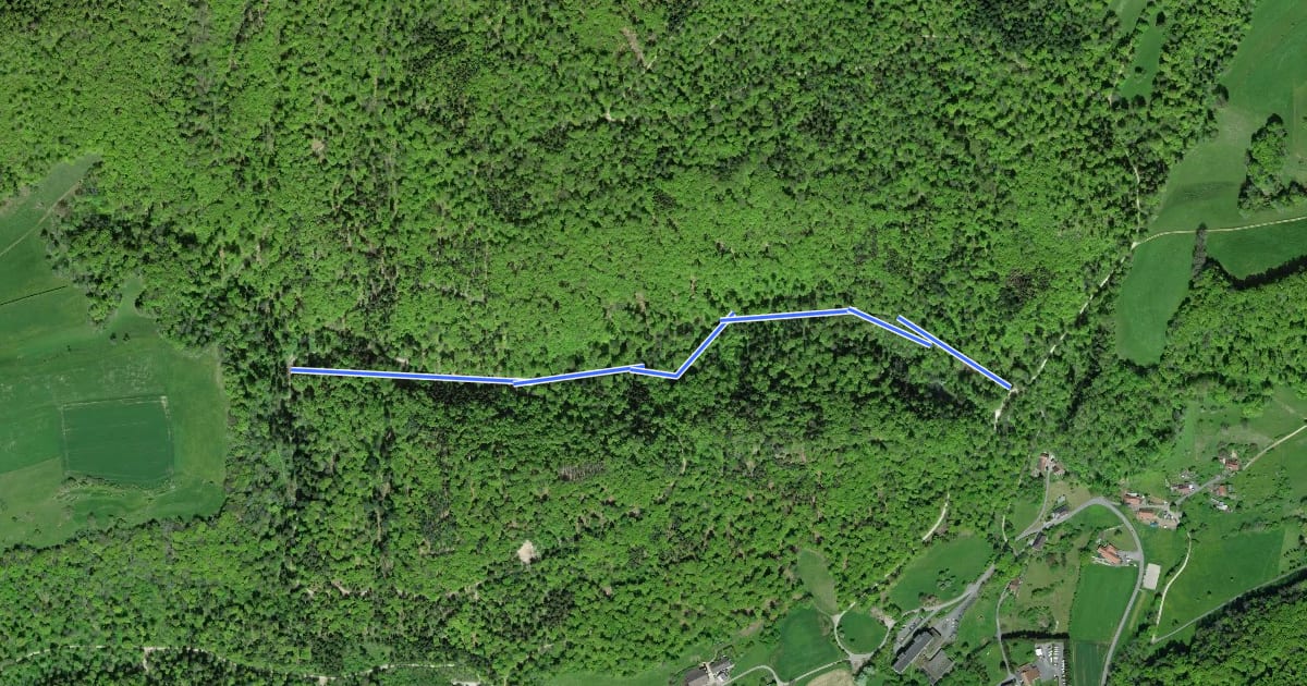 Маршрут Falkenstein Weiher - Chuchi на спутниковом снимке