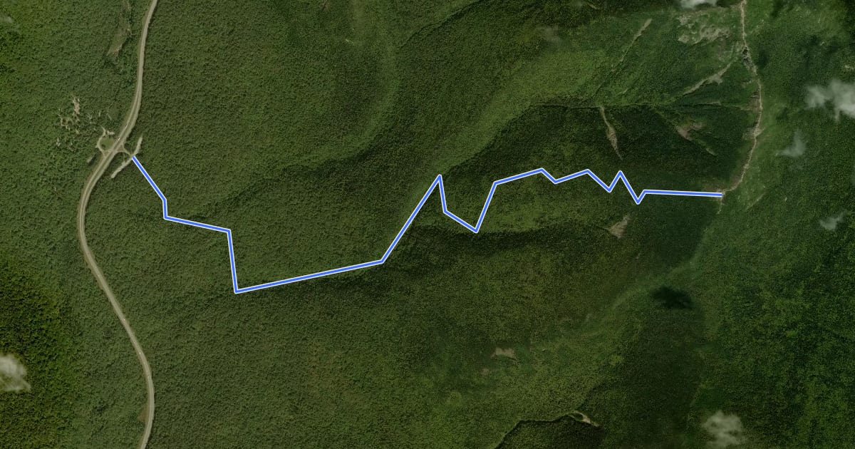 Маршрут Falling Waters Trail на спутниковом снимке