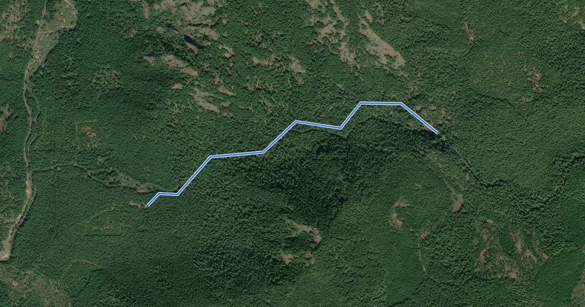 Маршрут Falls Creek Falls Trail #152A на спутниковом снимке