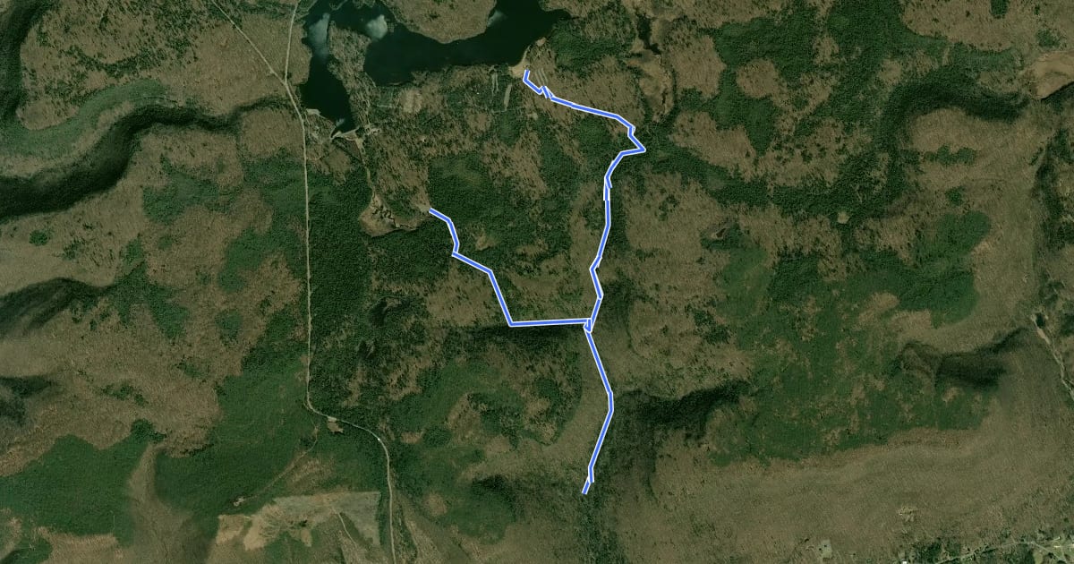 Маршрут Falls Trail на спутниковом снимке
