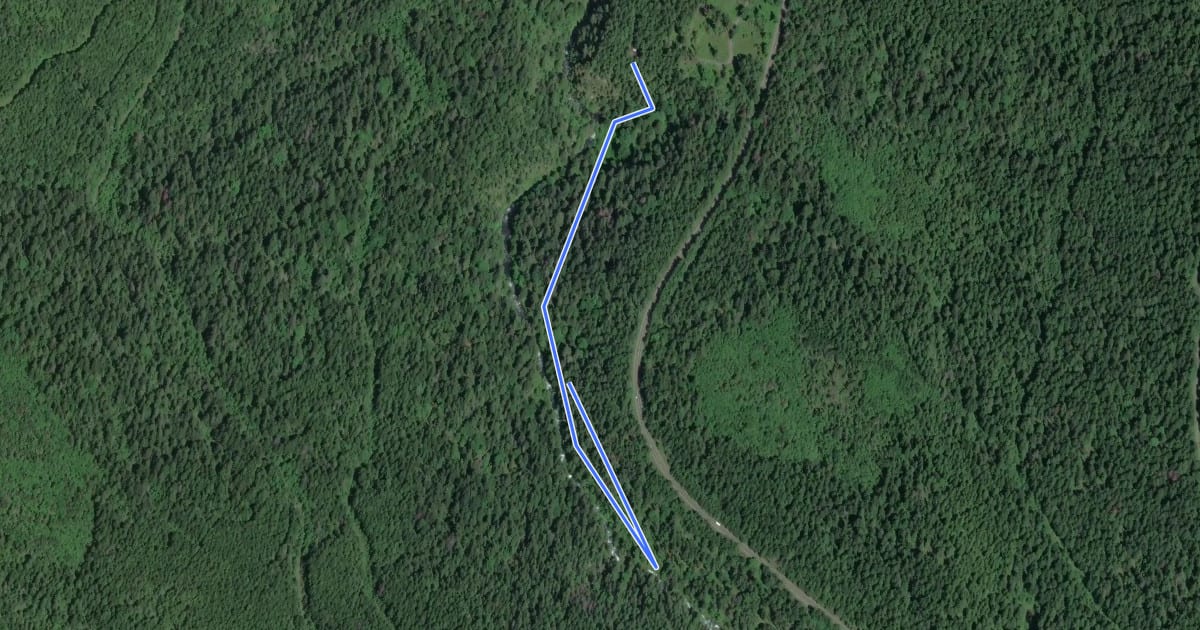 Маршрут Falls View Canyon Trail #868 на спутниковом снимке