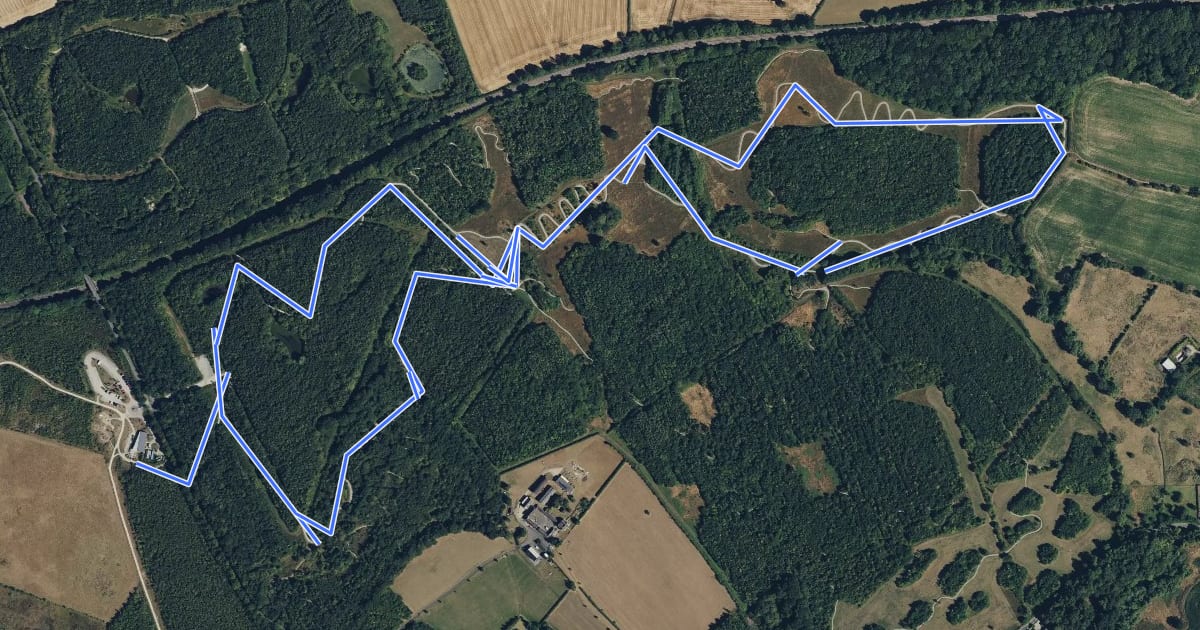 Маршрут Family Forest Trail (Yellow) на спутниковом снимке