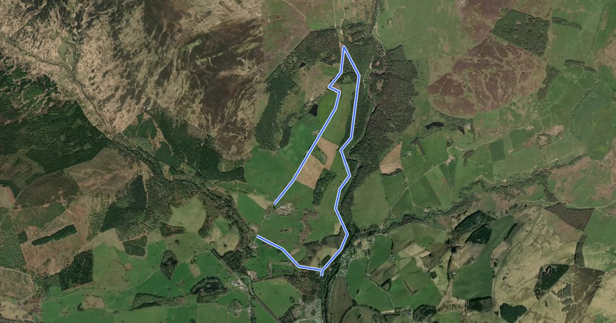 Маршрут Farm and Forest Walk на спутниковом снимке