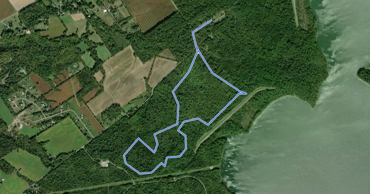 Маршрут Farmers Trace Equestrian Trail на спутниковом снимке