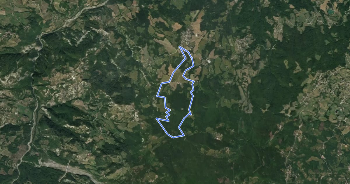 Маршрут Farneta - Bercedolo - Tia - Farneta на спутниковом снимке