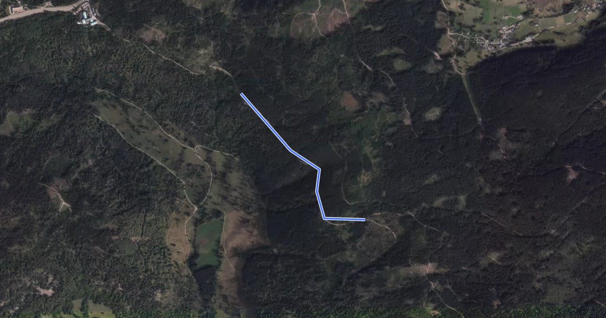 Маршрут Farnwitte West - Hochkopfweg на спутниковом снимке